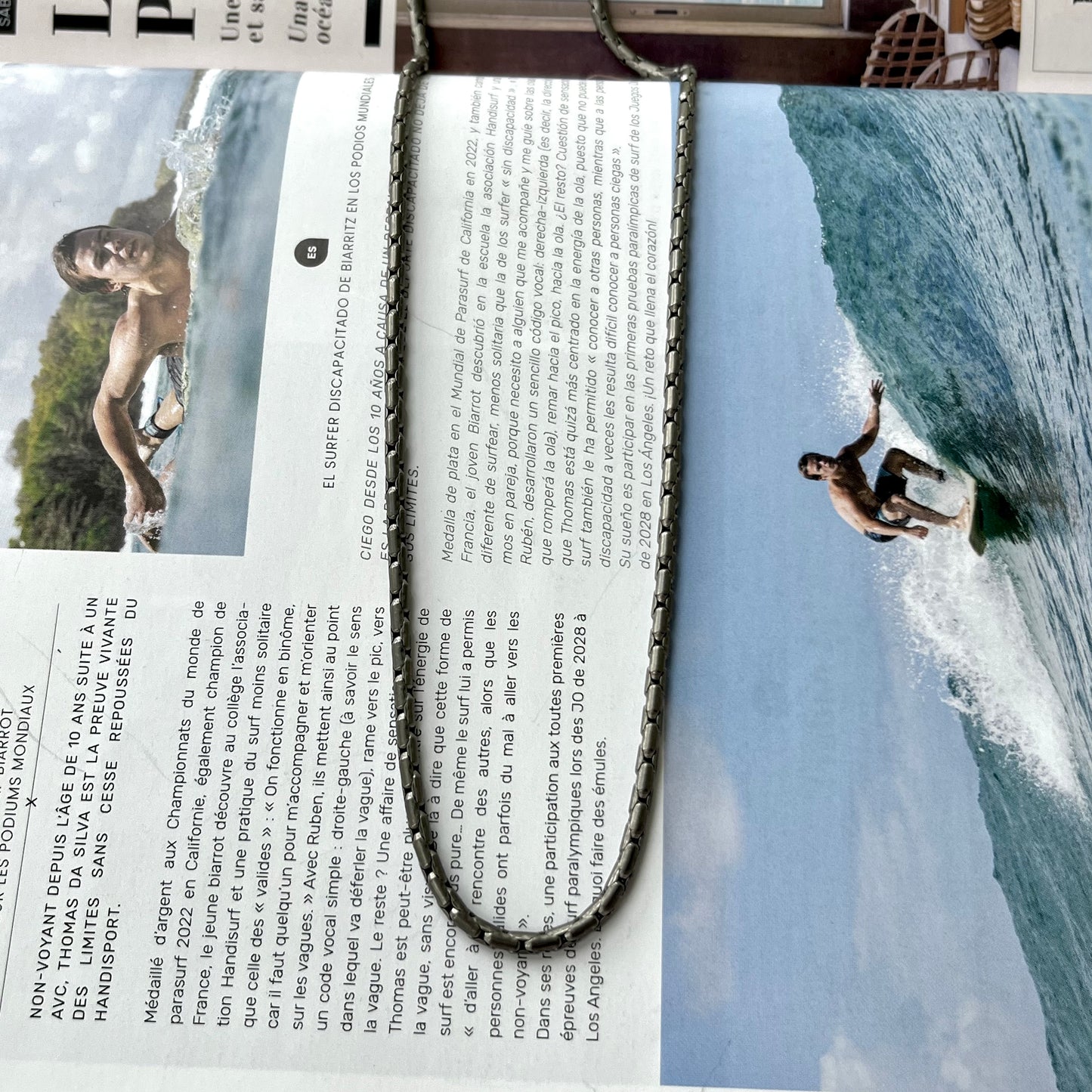 Titanium Snake Chain Necklace