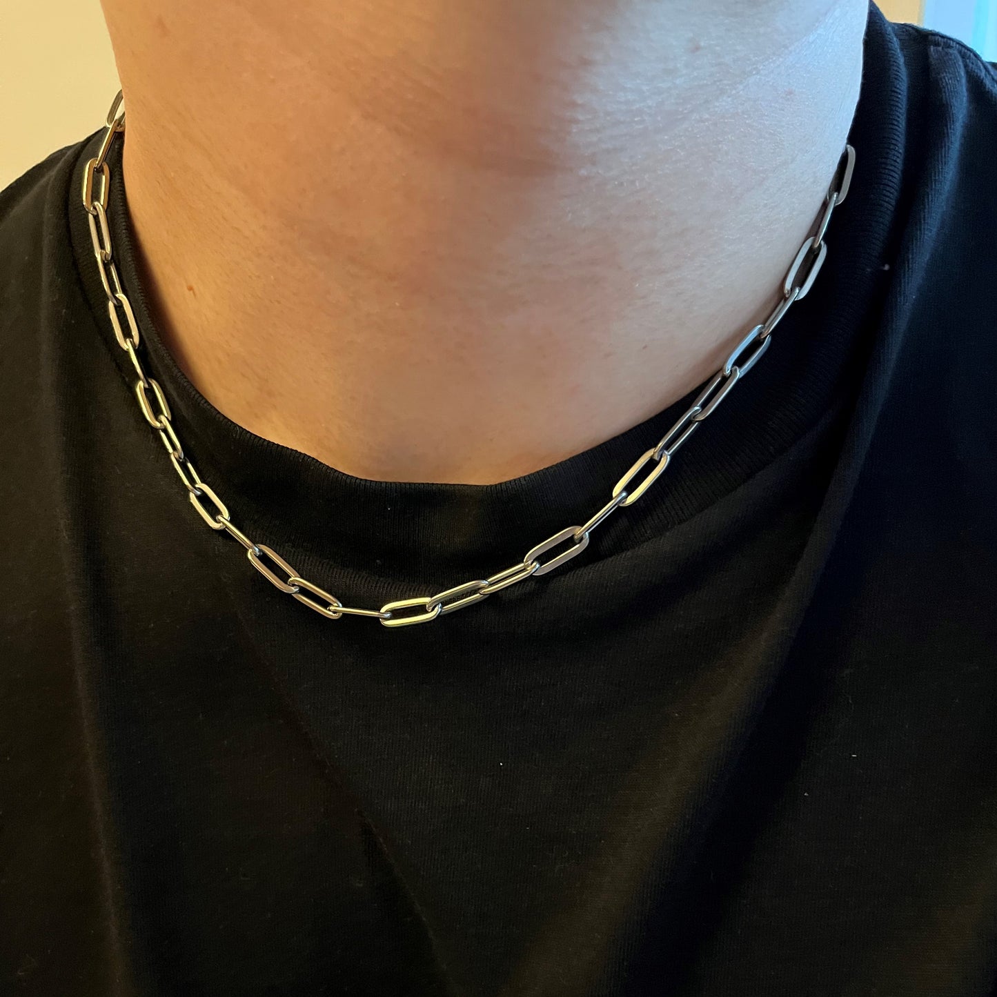 Titanium Paperclip Chain Necklace